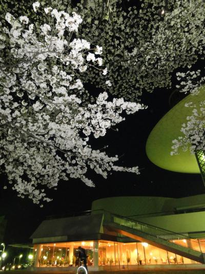 満開の桜の下で　桐生市民文化会館