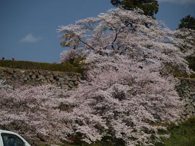 2011　桜ウォーク　4　城めぐり