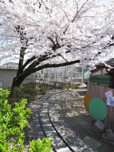 長野県飯田市　丘の上、いいだ街ぶら、ぶら～♪