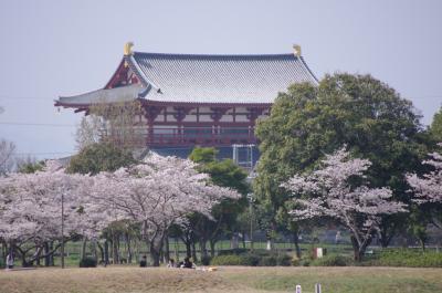 “お花見”三本立て　　関大～平城京～新幹線公園