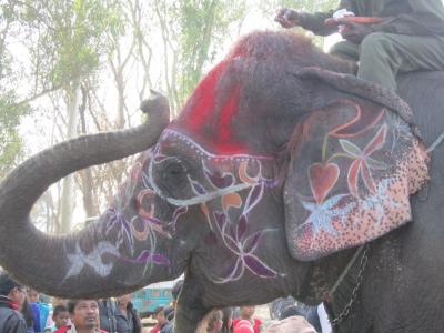 Jaun Jaun! ネパール！～チトワン国立公園編～