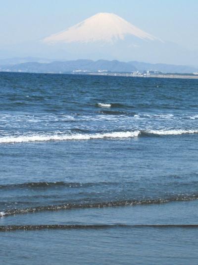 それでも海が好き　＠　湘南西浜