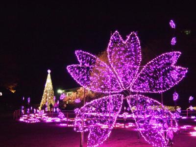 よくばりなお花見ドライブ≪３－３≫～広島市植物公園～