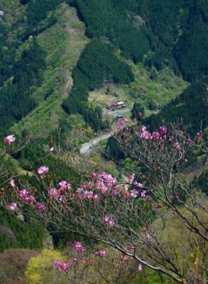 季節はめぐりて、山萌える侯に。