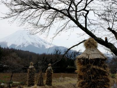 ポイントバケーション山中湖