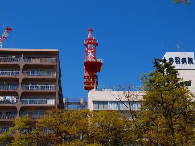 赤羽　清水坂公園　散歩に