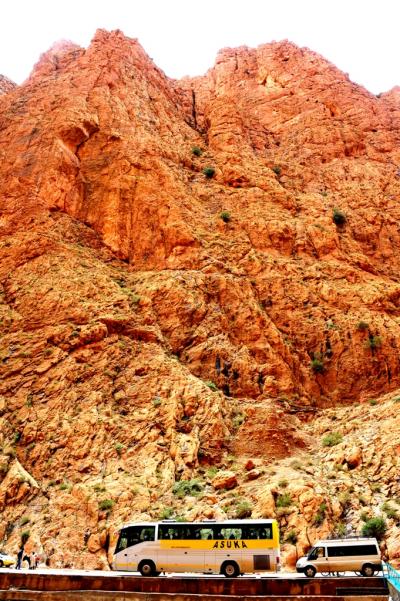 興奮と感動のモロッコ　(16)　トドラ峡谷