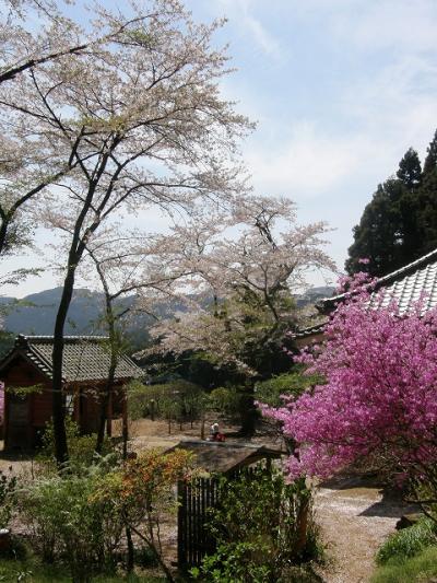 大高取山ハイキングと山野草を楽しむ