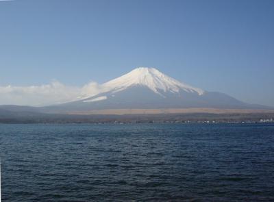 山中湖でバードウォッチング [2011](1)