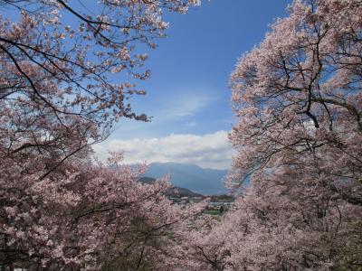 2011年4月　長野・高遠城址公園