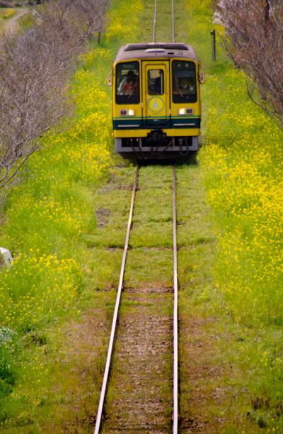春のいすみ鉄道旅