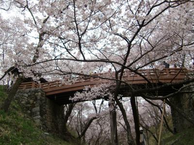高遠の桜と栂池温泉宿泊