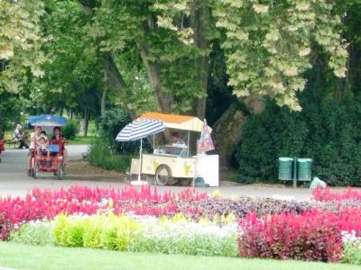 マルギット島でサイクリング