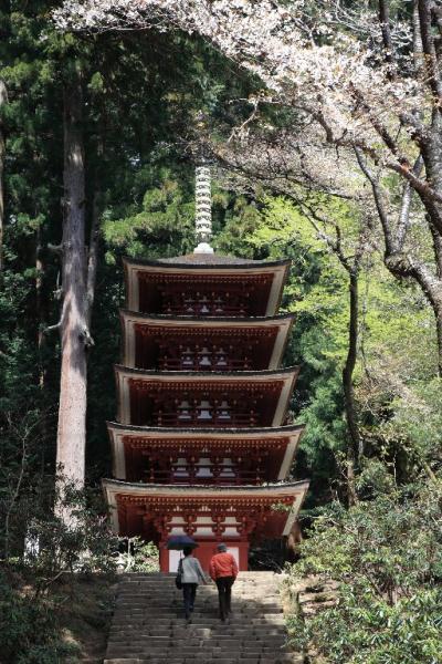 春の室生寺