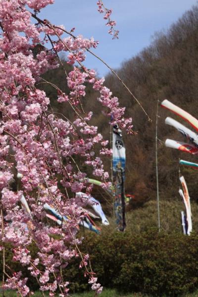 春の談山神社