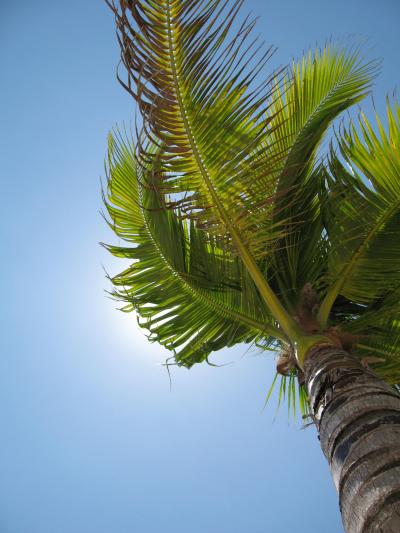 2010.10~11 ハネムーン☆モーリシャス