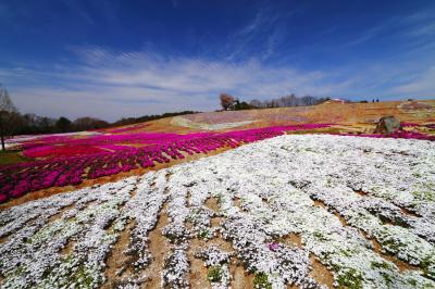 広島旅行2日目　花夢の里ロクタン