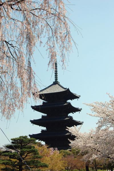 京都さくら紀行２０１１　(４日目最終日）醍醐寺、伏見稲荷、東寺