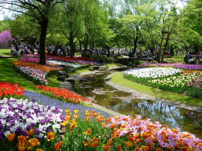 2011年04月　春爛漫 花めぐり　ｉｎ　国営昭和記念公園
