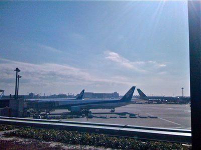 スカンジナビア航空で年末のアイスランドへ