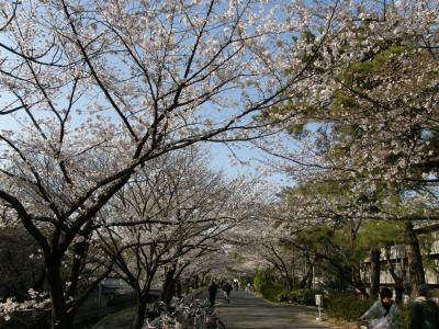 マイブーム・ご近所ハイキング～夙川-北山公園