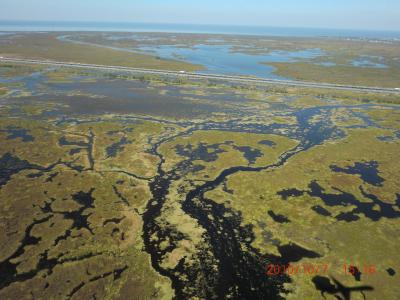 ニューオリンズからシカゴ　アメリカ大陸北上縦断の旅