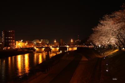 福井再発見　お散歩カメラで夜桜見物