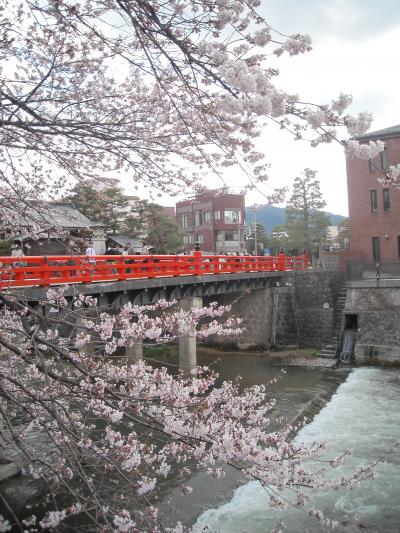 ２０１１・４・飛騨高山の桜見物