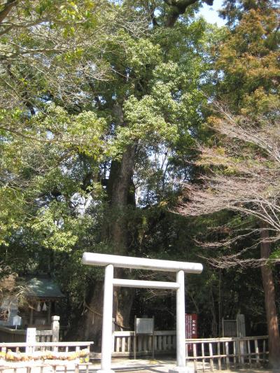 花いっぱいの淡路島、そしてまさかの徳島県