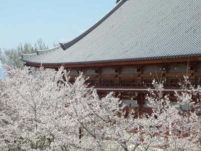 一度は詣れ善光寺　その後は気まぐれで 