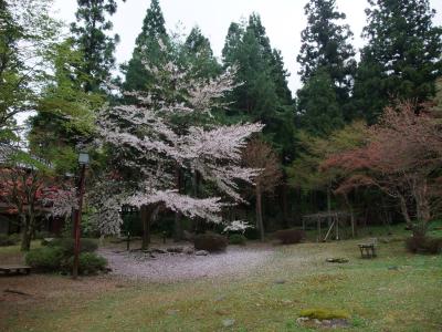 五頭（ごず）温泉郷・村杉温泉へ