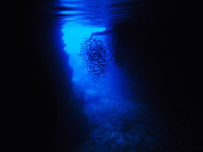 ANA SFC修行2011～第三弾～修行の疲れも青の洞窟シュノーケルで吹っ飛んだ！？