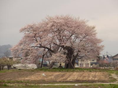 がんばろう会津の旅　２