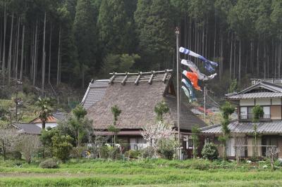 京都「植物園」と「美山」へ写真を撮りに行く。