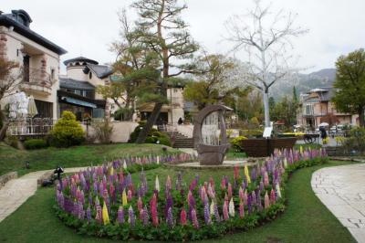 河口湖・箱根・小田原にて、はな♪(花・華）満開！？　河口湖編（山梨名物・ほうとう,富士山と富士桜・ミツバツツジ,オルゴールの森）