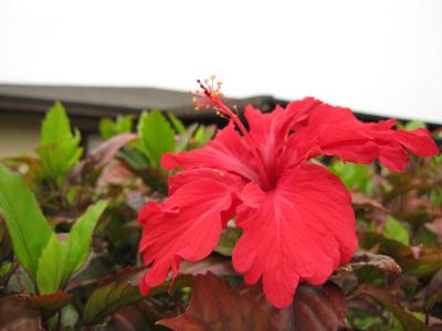 2011GW沖縄の旅~1日目~南部⇒北部