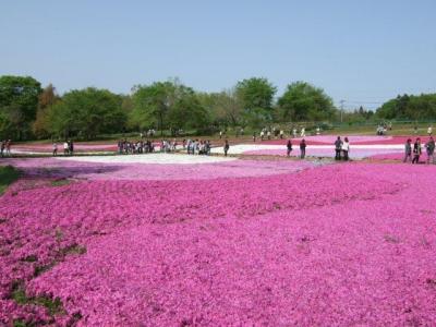 2011.05.04羊山公園