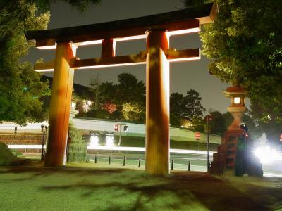 幻想的な夜の奈良公園（奈良市）－④　　５月　　２０１１年