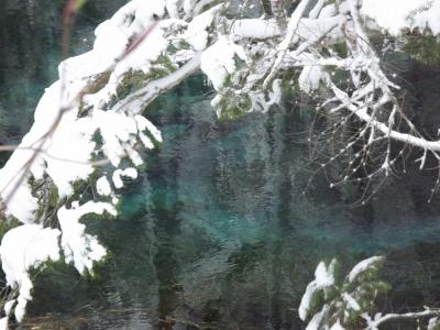 11年GW　道東　神の子池：水の碧と雪の白が織り成す点描画の世界に浸る