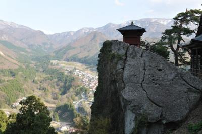 山形のさくらと足利の藤