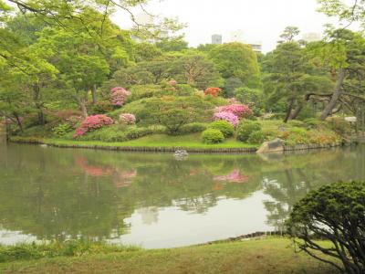 ２０１１年　５月３日　つつじが美しい六義園