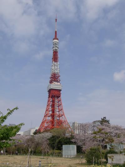 ザ・プリンスパークタワーに宿泊で桜花見！