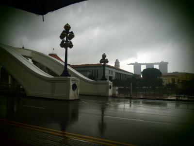 シンガポール、チャイナタウンからマレーシア、ジョホールバル　憂鬱な週末　雨の23時間