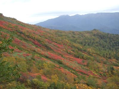 ２０１０年秋　北の国へ　３日目　赤岳登山