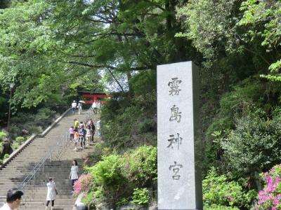 呼ばれた気がして霧島詣で