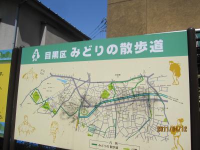 2011　桜　～4月12日～　目黒川