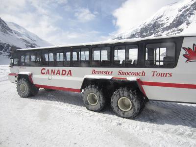 【レンタカー2人旅】クロッシング, コロンビア大氷原, ジャスパー/カナダ　Crossing, Columbia Icefield, Jasper/Canada