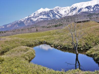 憧れの北海道　摩周湖・知床の旅～知床編～