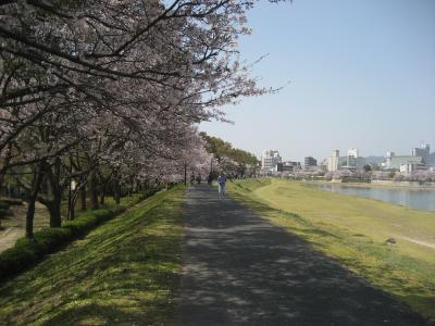 広島より~⑥広島市周辺(2011春)