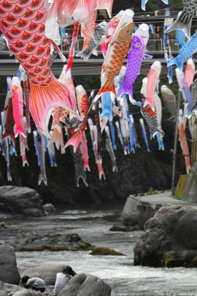 Solitary Journey ［899］ 中～北九州ひとり旅 ＜圧巻！鯉のぼり3500匹が勇壮に泳ぐ 杖立温泉 「鯉のぼり祭り」＞熊本県小国町